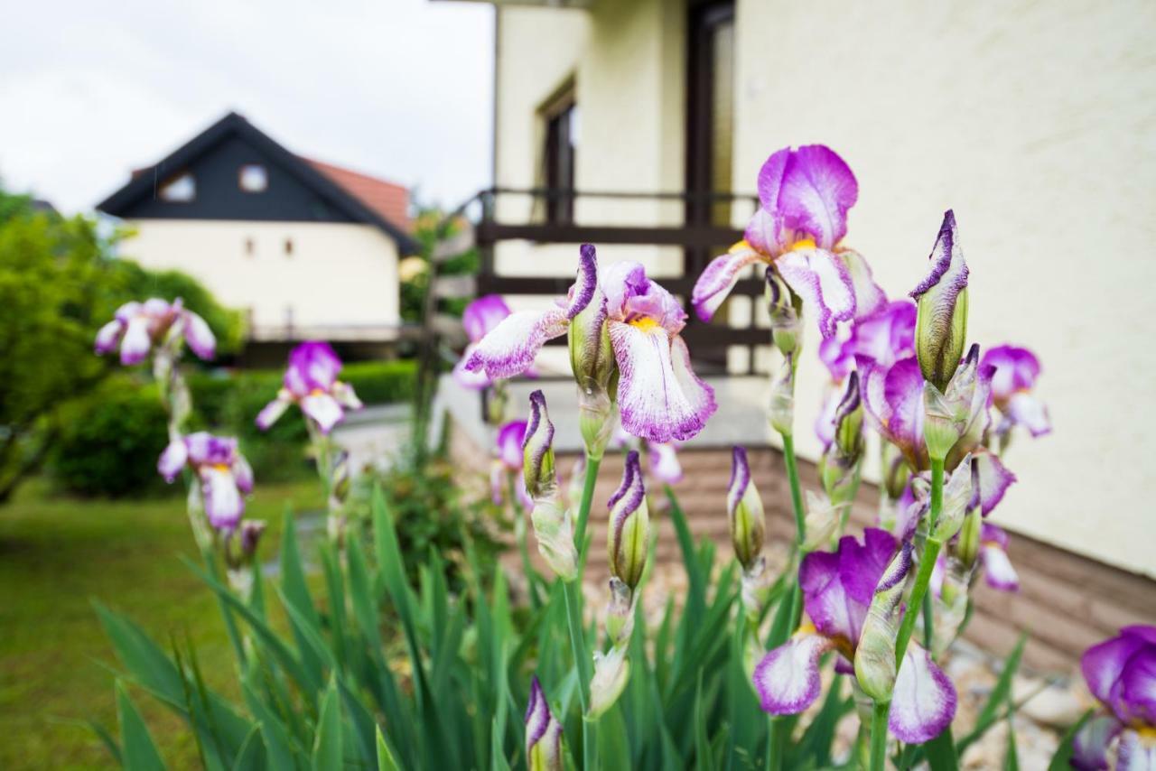 Apartma Ela Bled Exterior foto
